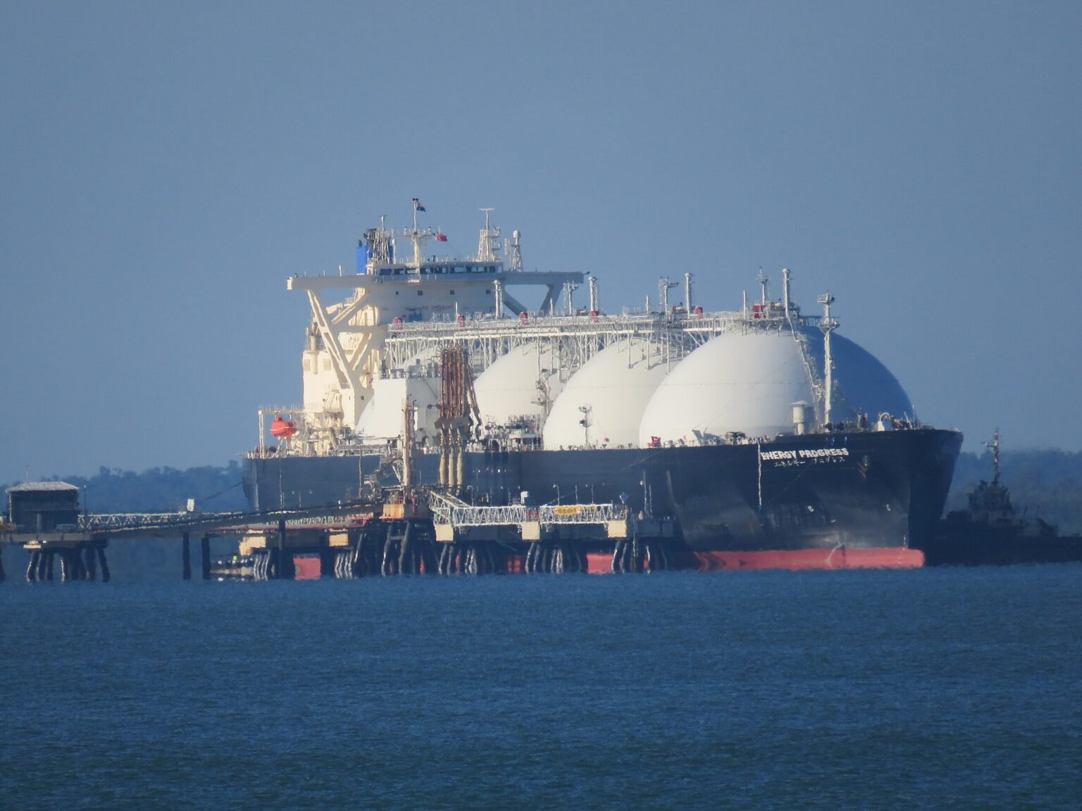 Russia’s Arctic LNG-2 delivers first cargo to China ahead of Putin’s visit
