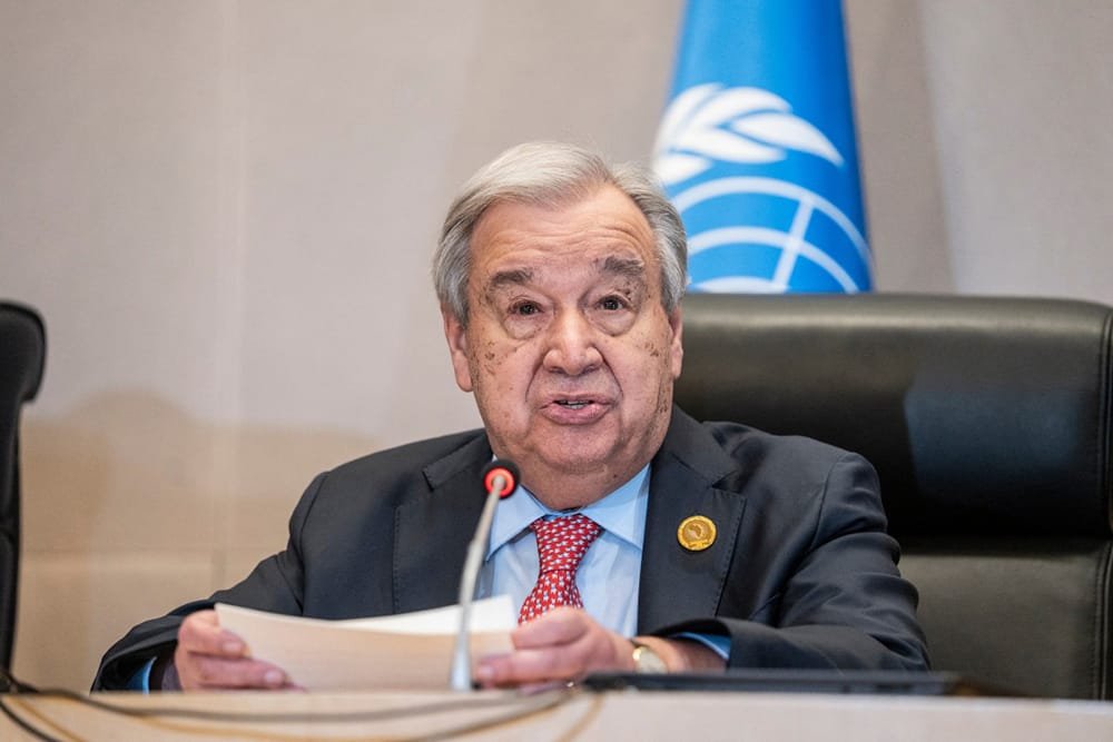 UN report reveals that United Nations reports are not widely read